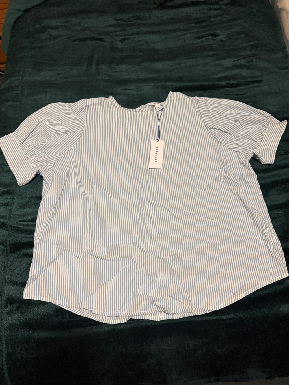 POPSUGAR Blue and White Striped Short Sleeve Blouse